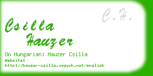 csilla hauzer business card